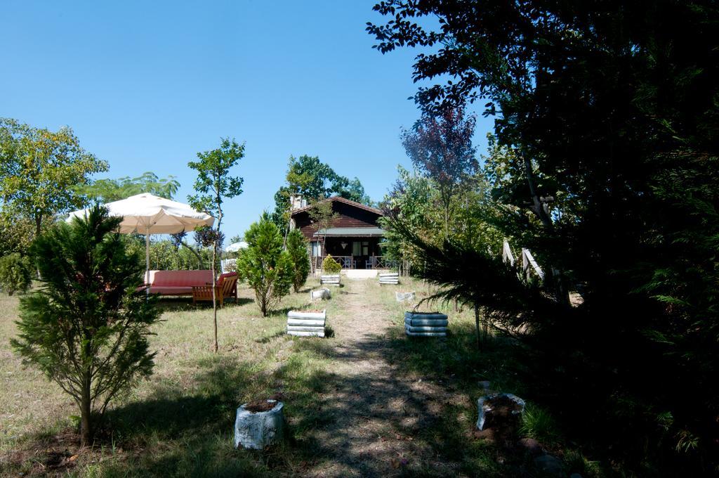 Agva Nehir Perisi Hotel Goce Εξωτερικό φωτογραφία