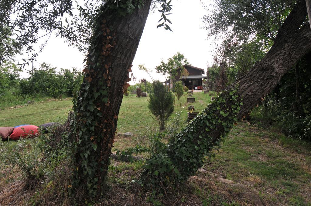 Agva Nehir Perisi Hotel Goce Δωμάτιο φωτογραφία